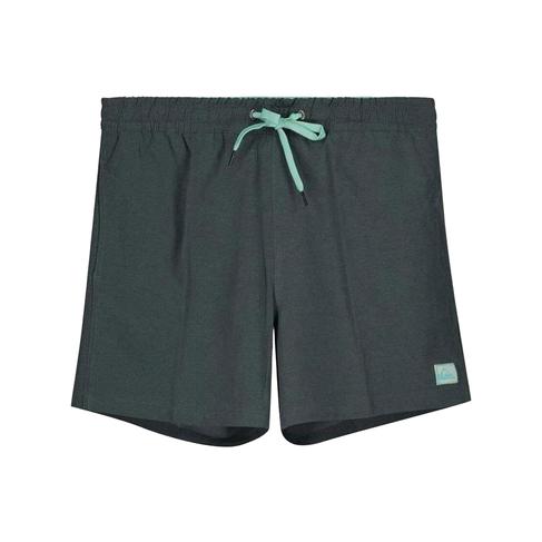  Quiksilver Surfsilk 16 M Jamv Erkek Volley Short