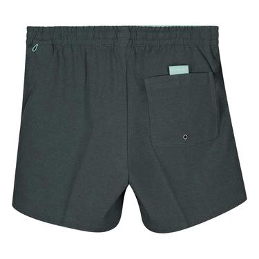  Quiksilver Surfsilk 16 M Jamv Erkek Volley Short