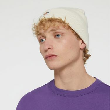  Dickies Gibsland Erkek Bej Bere