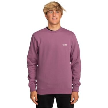  Billabong Arch Cr Erkek Mor Sweatshirt