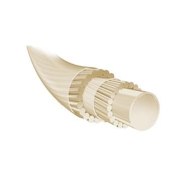  Babolat Syn Gut Force 200m Unisex Bej Kordaj Rulo