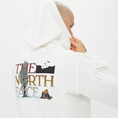  The North Face Seasonal Graphic Hoodie Erkek Beyaz Sweatshirt
