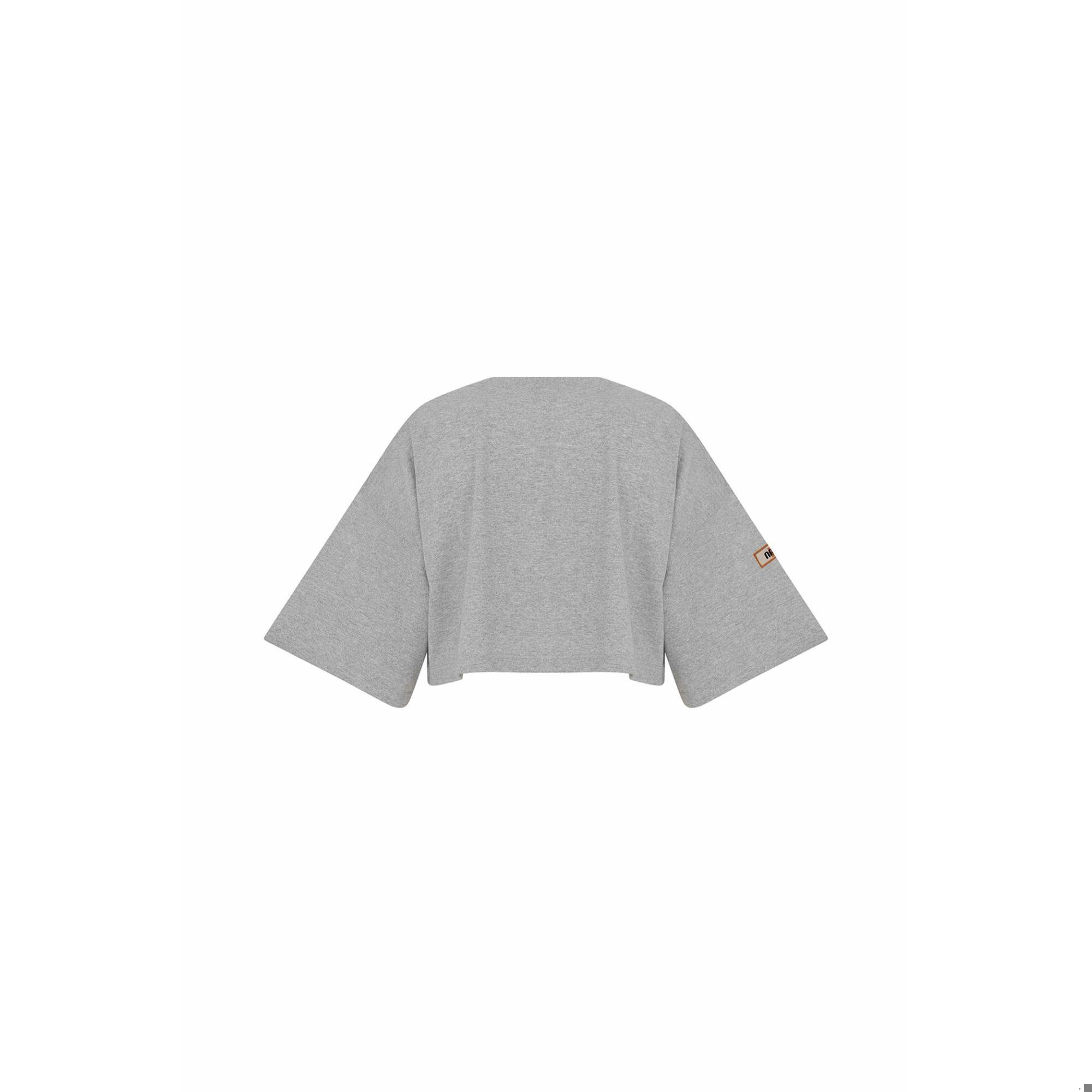 Nasaqu Kadın Mimma Gri Krom Crop Top