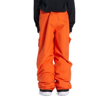  Dc Erkek Çocuk Snowboard Pantolonu Banshee Youth