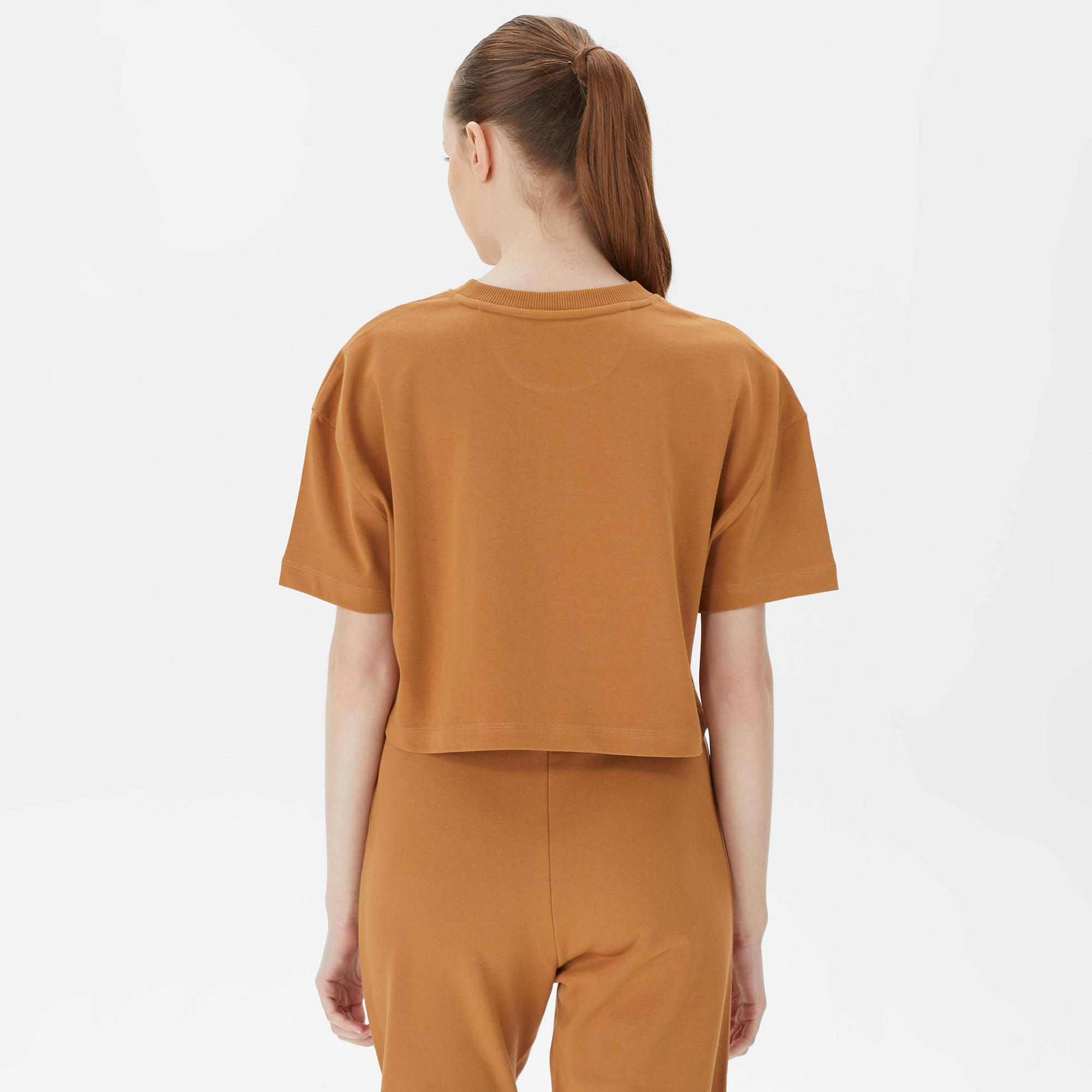 UNITED4 Classic Kadın Kahverengi Crop T-Shirt
