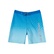 Quiksilver Everyday Warp Fade Yth 17 Erkek Çocuk Boardshort