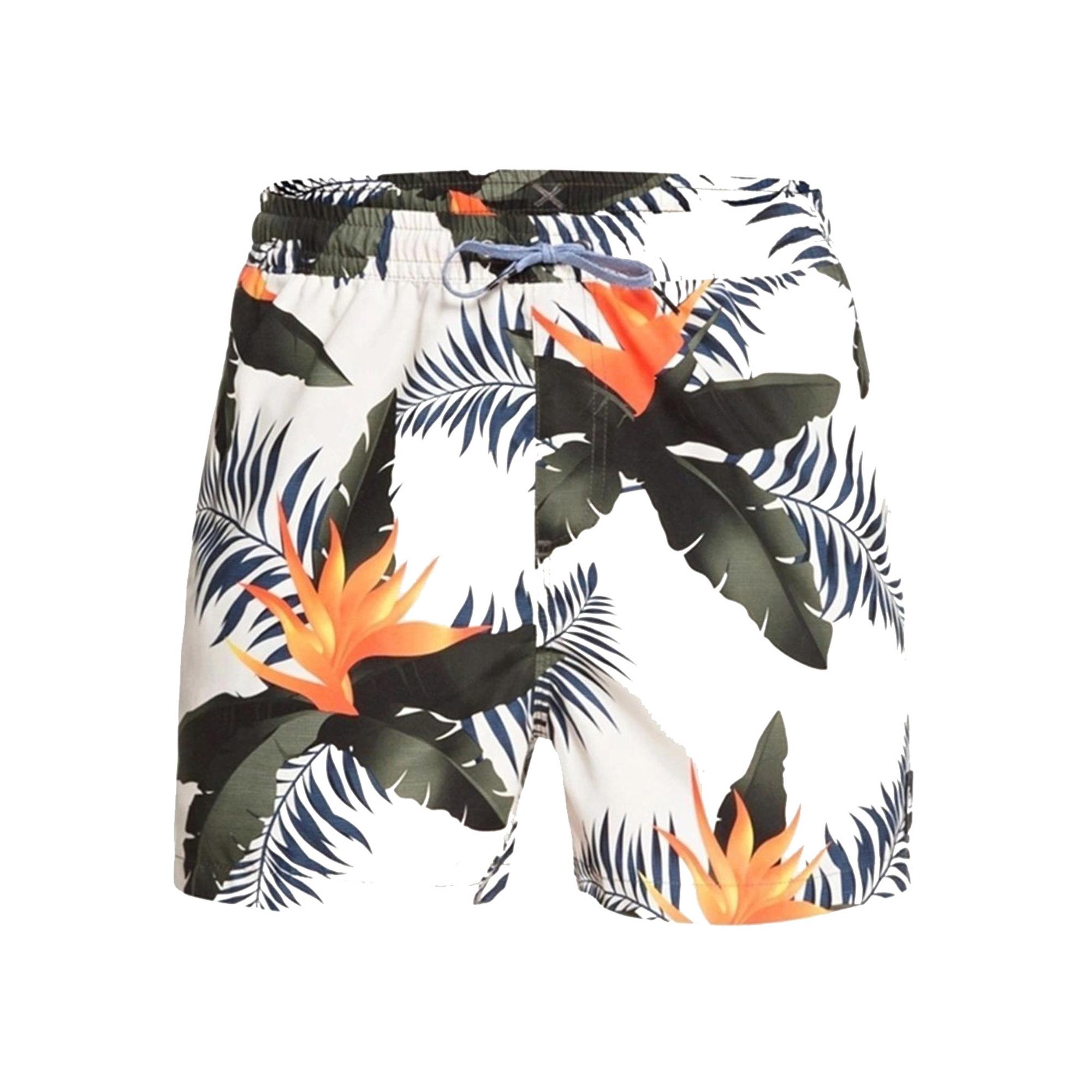 EVERYDAY SCENIC VOLLEY 15