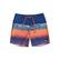 Quiksilver Erkek Çocuk Boardshort SurfSilk Panel Yth 16