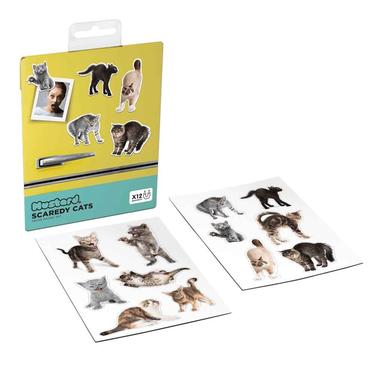  Mustard Sinirli Kediler Magnet