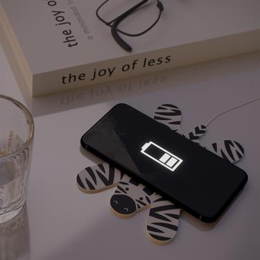  Mustard Zebra Kablosuz Şarj Cihazı