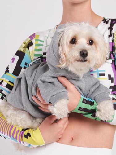 Rockupy Köpek Pako Hoodie