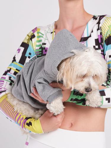  Rockupy Köpek Pako Hoodie