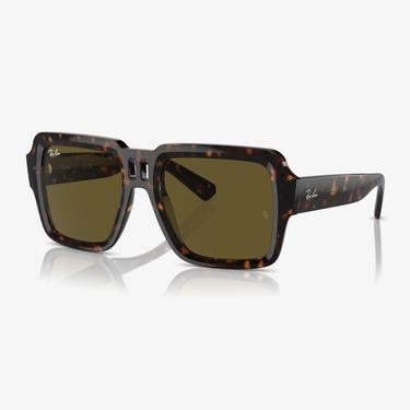  RAY-BAN 0RB4408 Injected Unisex Kahverengi Güneş Gözlüğü