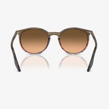  RAY-BAN 0RB2204 Acetate Unisex Kahverengi Güneş Gözlüğü