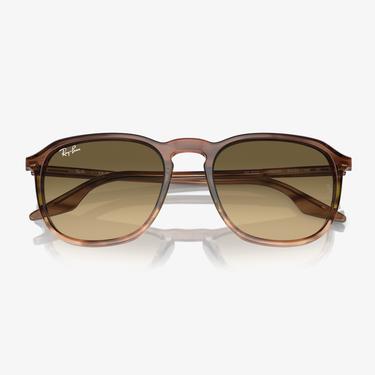 RAY-BAN 0RB2203 Acetate Unisex Kahverengi Güneş Gözlüğü