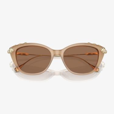  Swarovski 0SK6010 Acetate Kadın Bej Güneş Gözlüğü