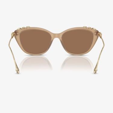  Swarovski 0SK6010 Acetate Kadın Bej Güneş Gözlüğü