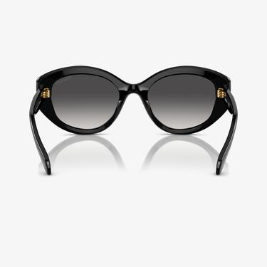  Swarovski 0SK6005 Acetate Kadın Siyah Güneş Gözlüğü