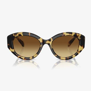  Swarovski 0SK6005 Acetate Kadın Kahverengi Güneş Gözlüğü