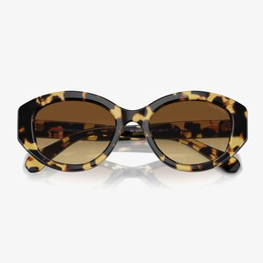  Swarovski 0SK6005 Acetate Kadın Kahverengi Güneş Gözlüğü