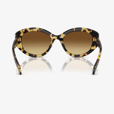  Swarovski 0SK6005 Acetate Kadın Kahverengi Güneş Gözlüğü