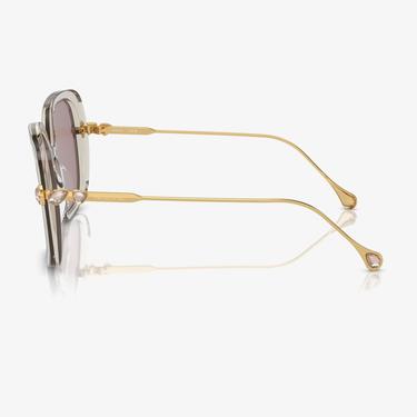  Swarovski 0SK6011 Acetate Kadın Kahverengi Güneş Gözlüğü