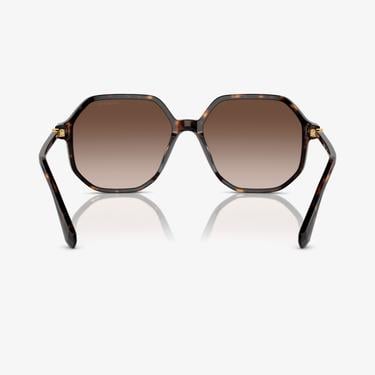  Swarovski 0SK6003 Acetate Kadın Kahverengi Güneş Gözlüğü