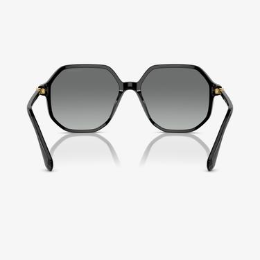  Swarovski 0SK6003 Acetate Kadın Siyah Güneş Gözlüğü