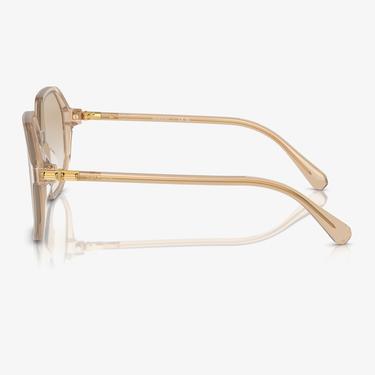  Swarovski 0SK6003 Acetate Kadın Kahverengi Güneş Gözlüğü