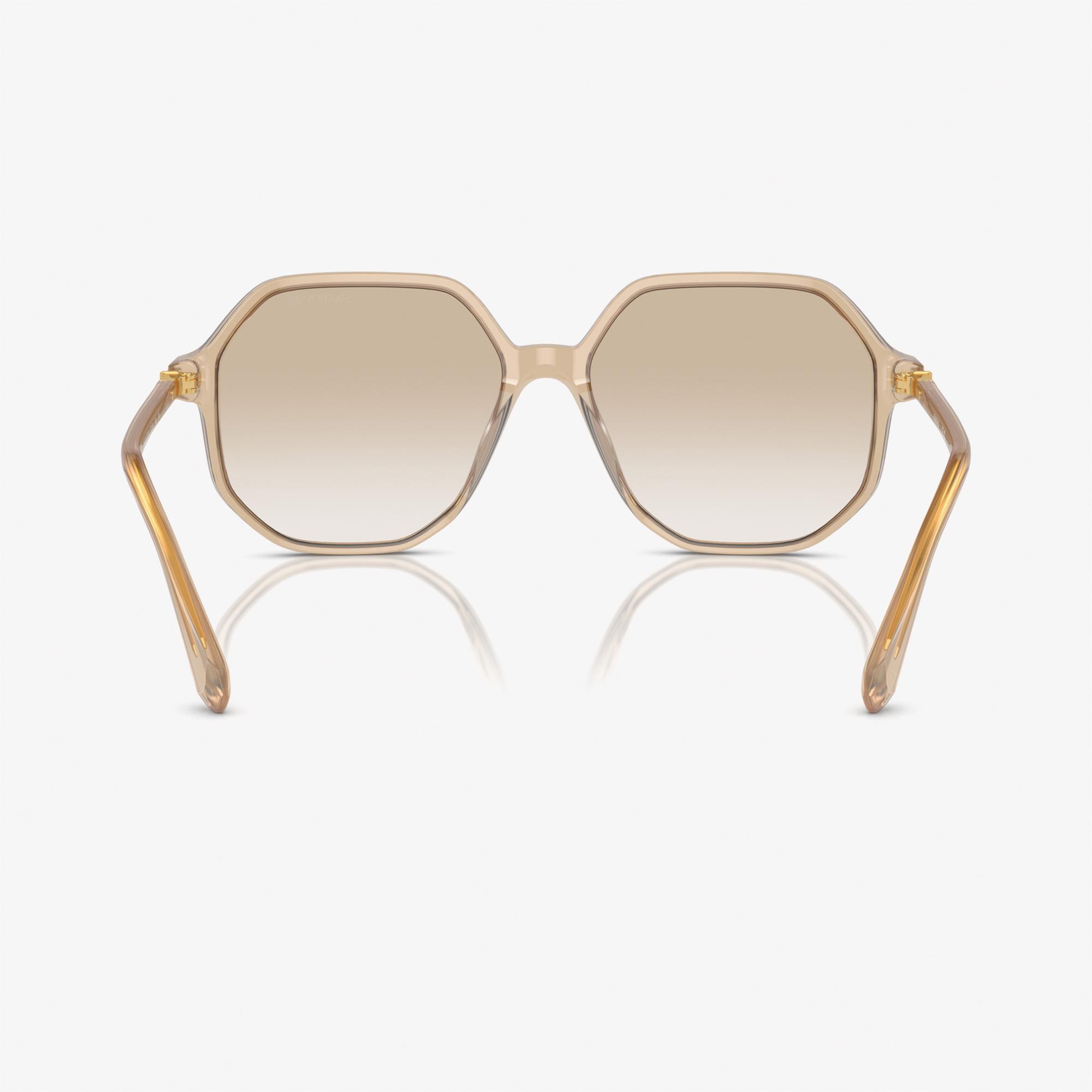 Swarovski 0SK6003 Acetate Kadın Kahverengi Güneş Gözlüğü