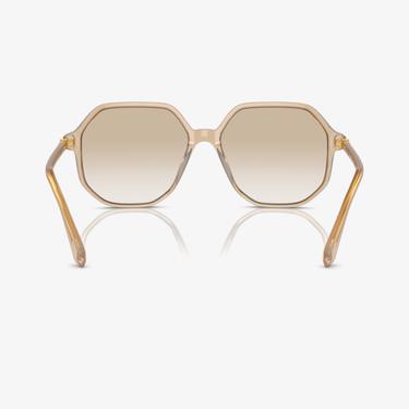  Swarovski 0SK6003 Acetate Kadın Kahverengi Güneş Gözlüğü