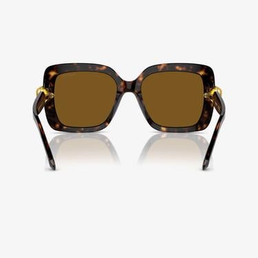  Swarovski 0SK6001 Acetate Kadın Kahverengi Güneş Gözlüğü