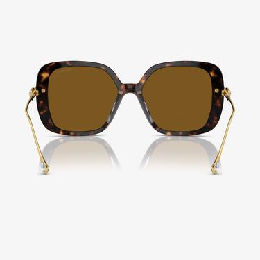  Swarovski 0SK6011 Acetate Kadın Kahverengi Güneş Gözlüğü