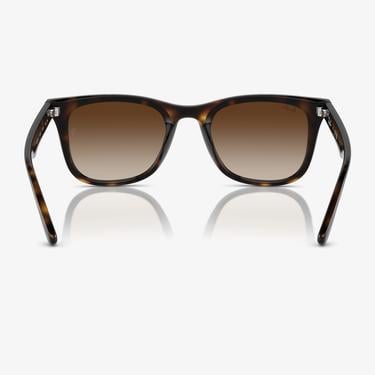  RAY-BAN 0RB4420 Injected Unisex Kahverengi Güneş Gözlüğü