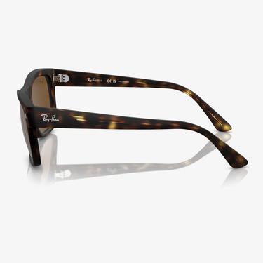  RAY-BAN 0RB4428 Propionate Unisex Kahverengi Güneş Gözlüğü
