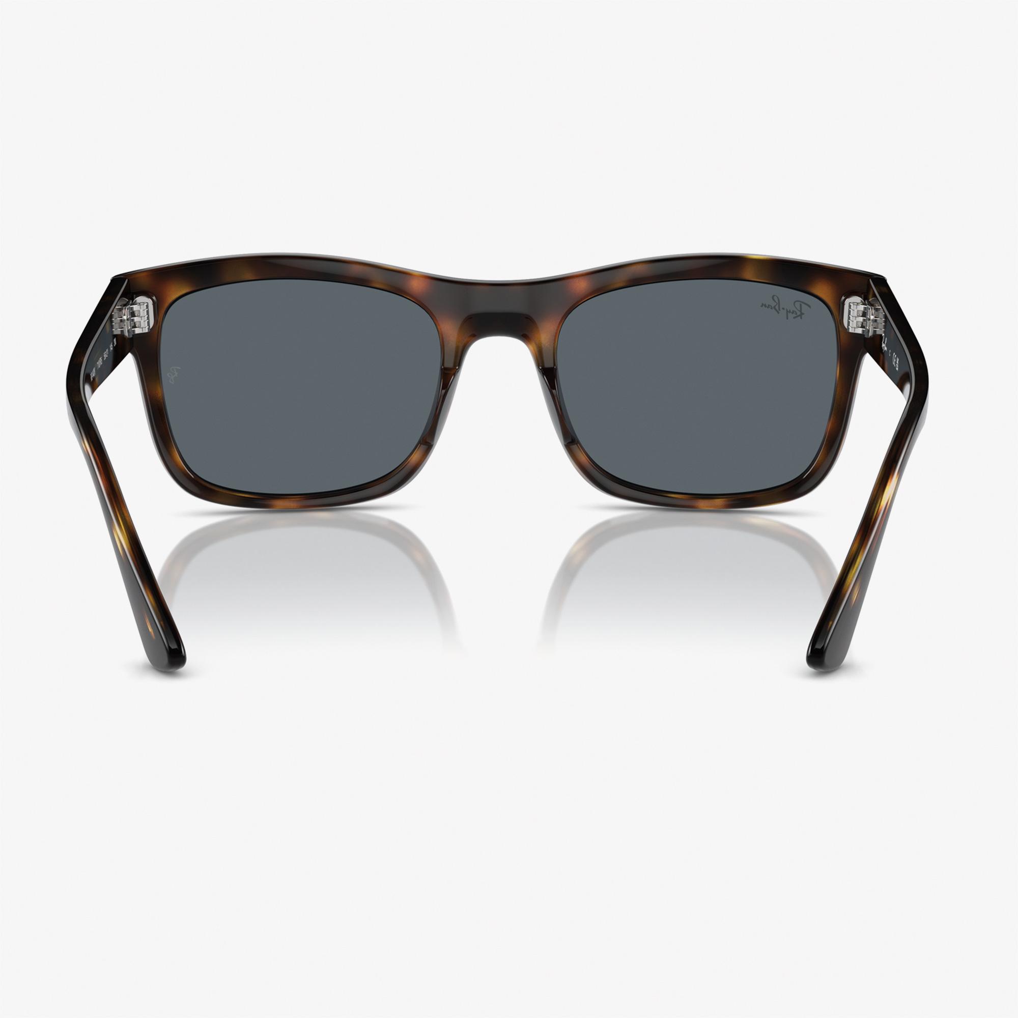 RAY-BAN 0RB4428 Propionate Unisex Kahverengi Güneş Gözlüğü