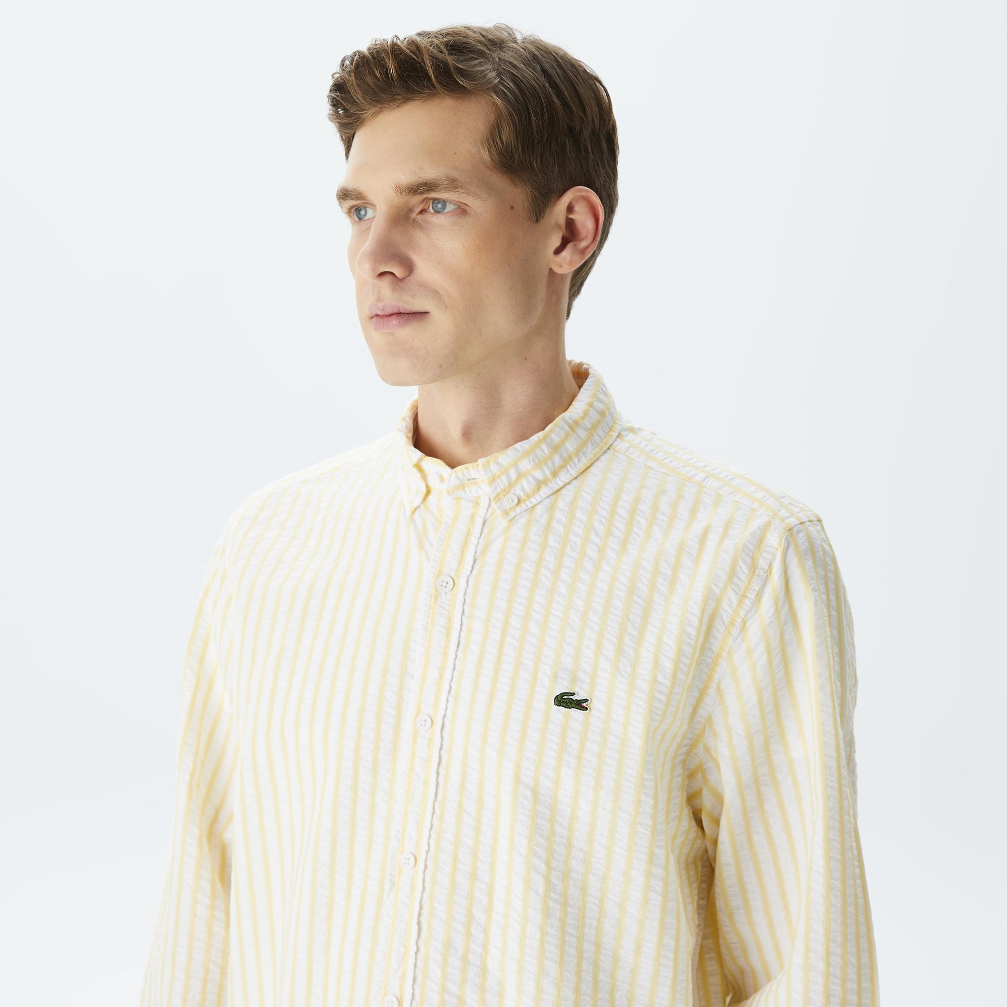 Erkek Regular Fit Organik Pamuk Sarı Çizgili Gömlek