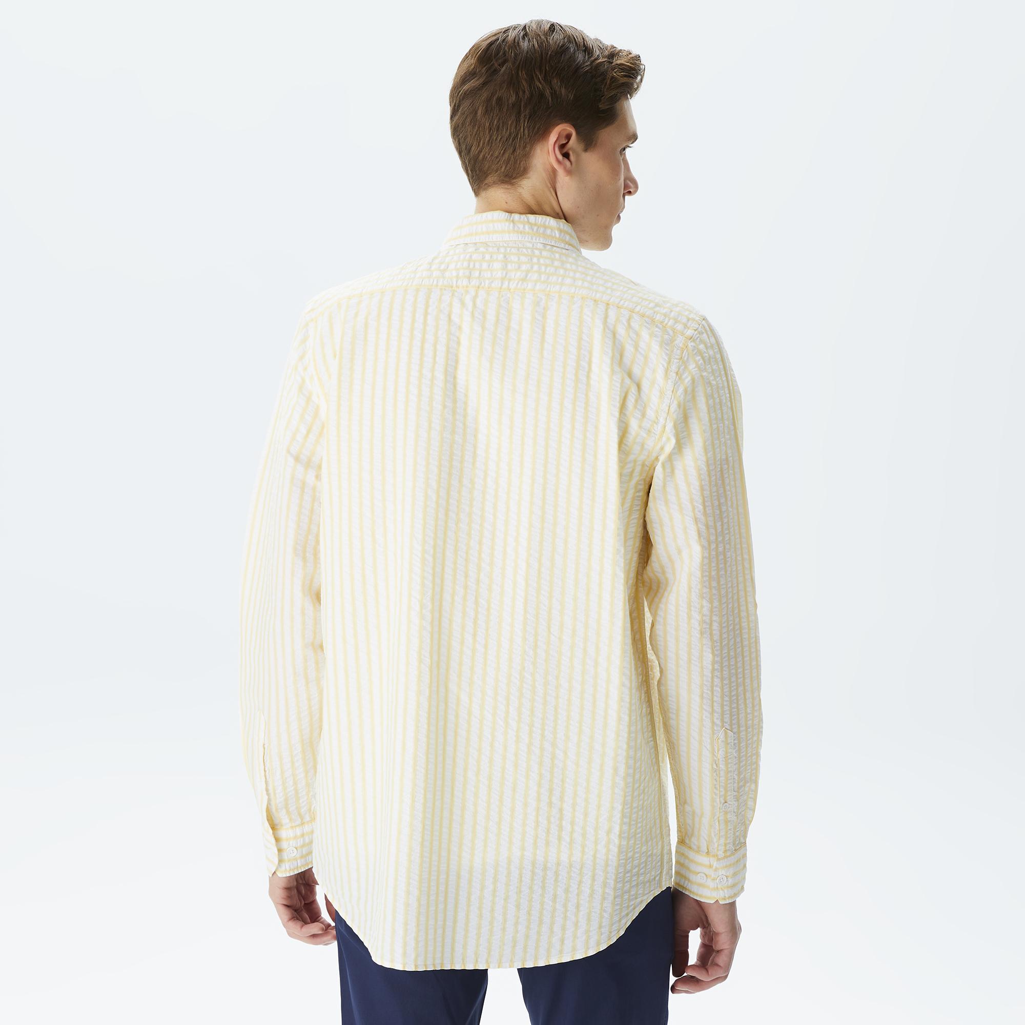 Erkek Regular Fit Organik Pamuk Sarı Çizgili Gömlek