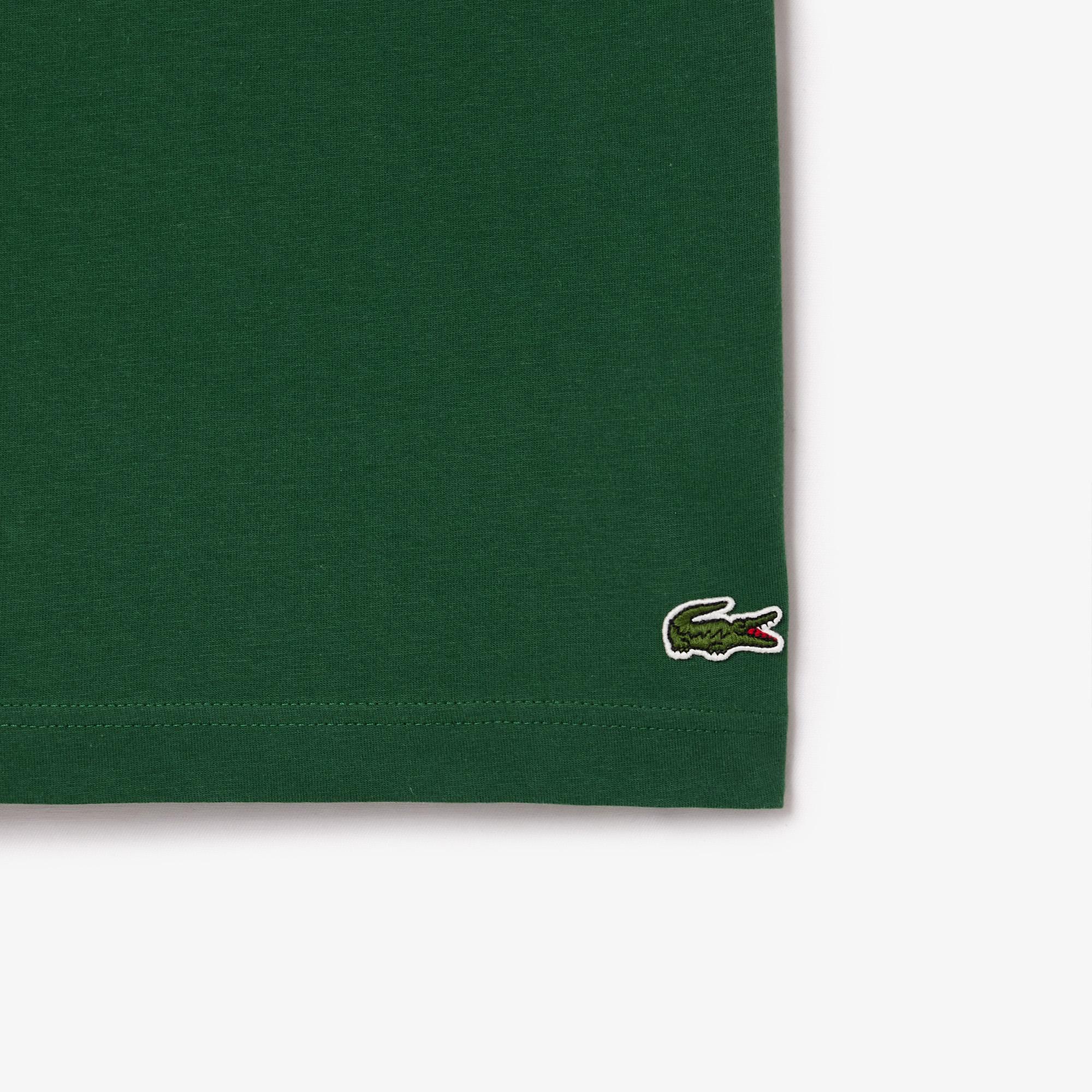 Erkek Regular Fit Bisiklet Yaka Baskılı Yeşil T-Shirt