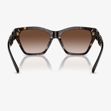  EMPORIO ARMANI 0EA4203U Acetate Kadın Kahverengi Güneş Gözlüğü