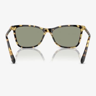  Swarovski 0SK6004 Acetate Kadın Kahverengi Güneş Gözlüğü