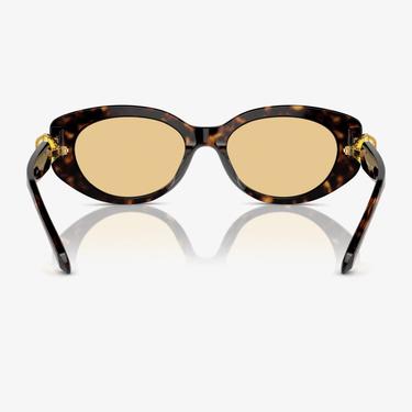  Swarovski 0SK6002 Acetate Kadın Kahverengi Güneş Gözlüğü