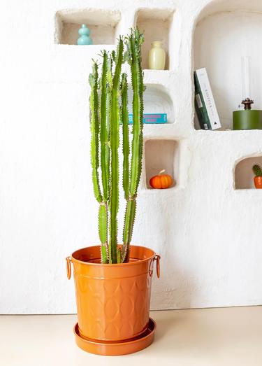  The Mia Prizma Saksı Terracota 33x25x33 cm