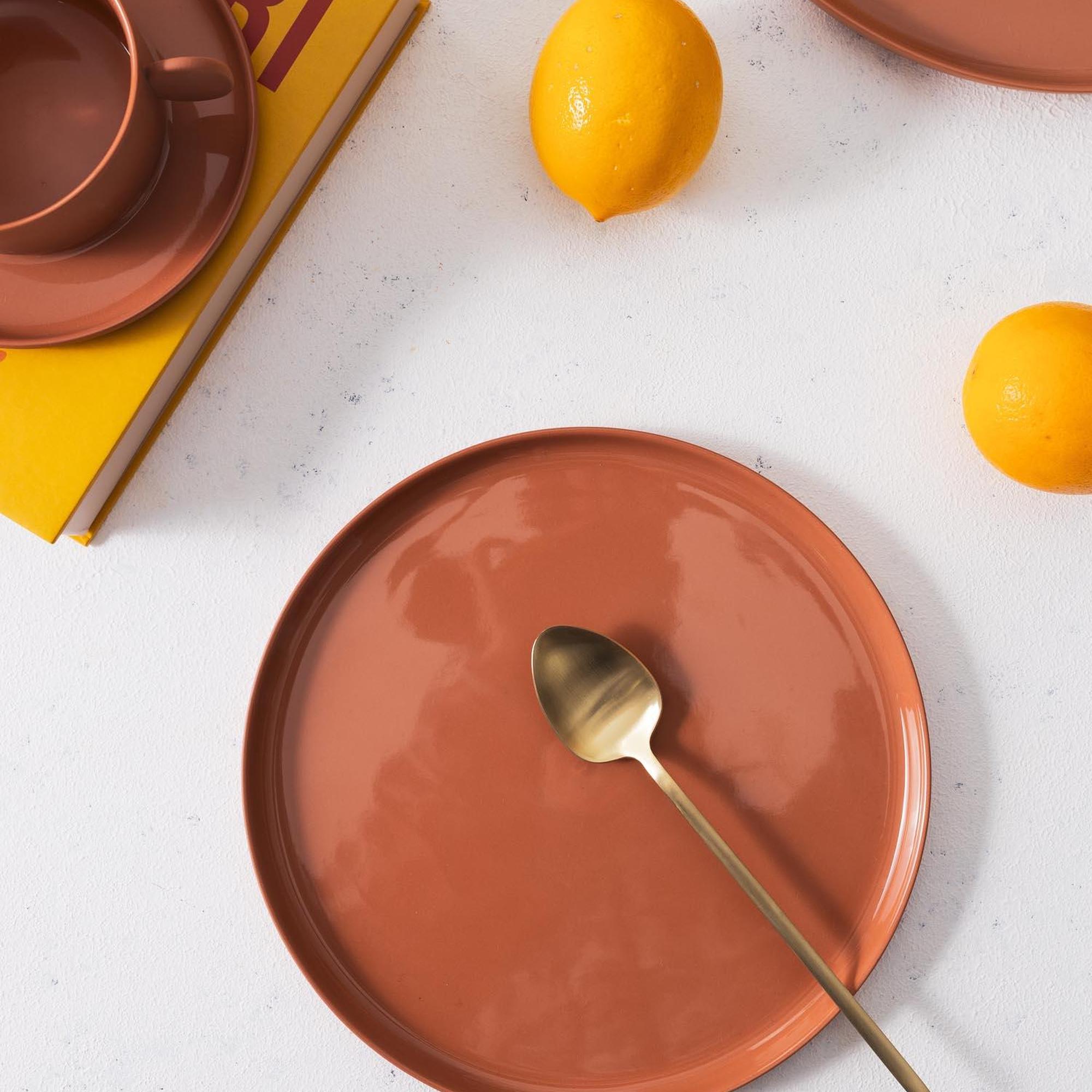 The Mia Cotta Limoges Pasta Tabağı Terracota 21 cm