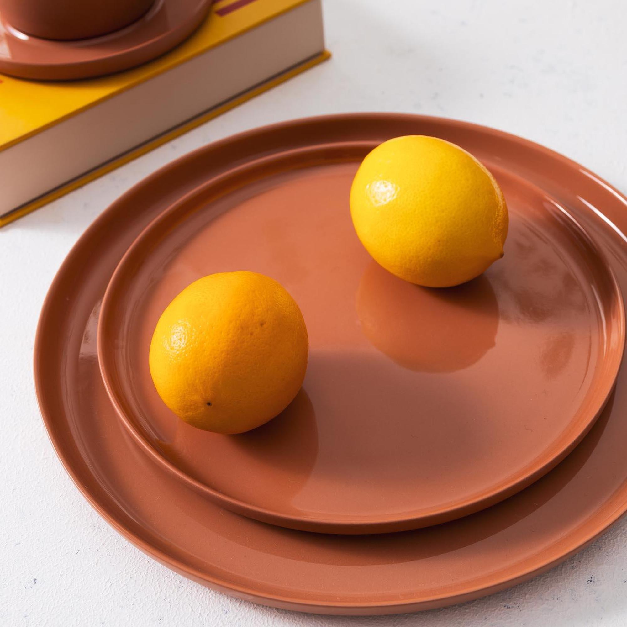 The Mia Cotta Limoges Pasta Tabağı Terracota 21 cm