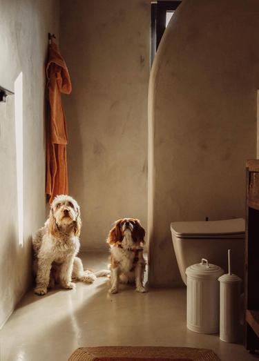  The Mia Fine Cotton TerraCotta Bornoz Small Medium