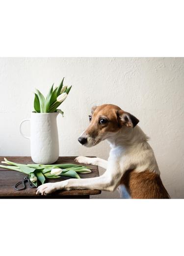  The Mia Pure Dekoratif Vazo 18x13x23 cm