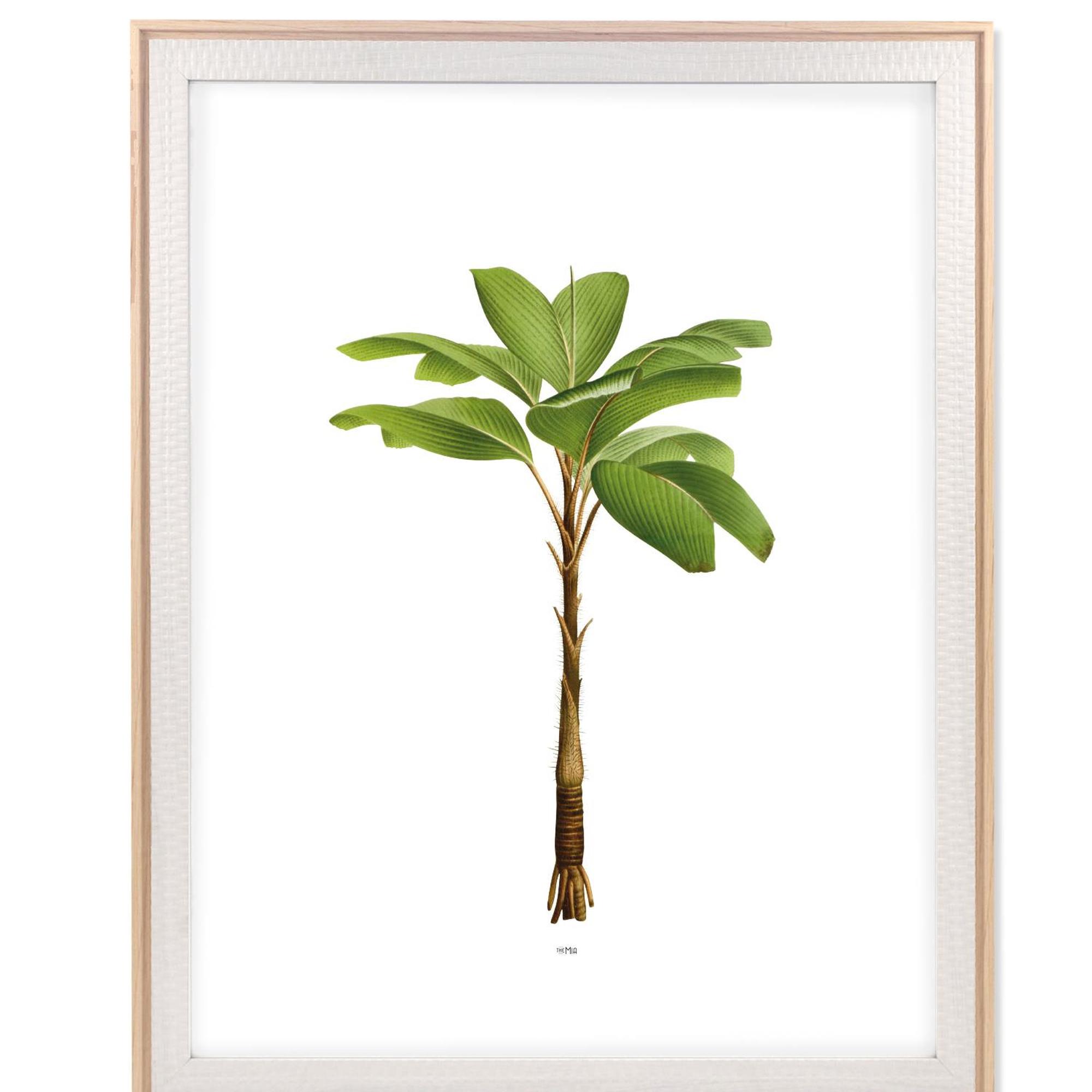 The Mia Retrato Fotoğraf Çerçevesi Beyaz 40x50 cm