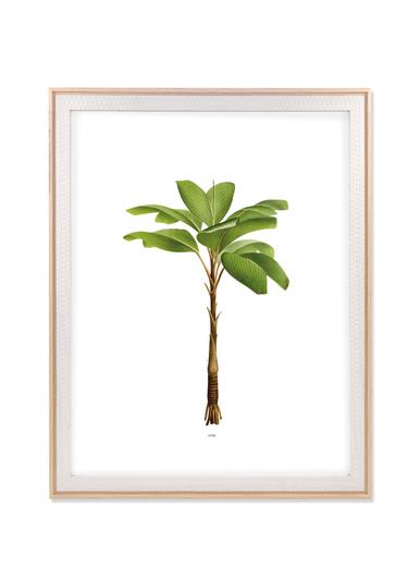  The Mia Retrato Fotoğraf Çerçevesi Beyaz 40x50 cm