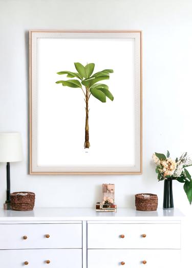  The Mia Retrato Fotoğraf Çerçevesi Beyaz 40x50 cm